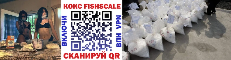 магазин  наркотиков  Жиздра  Cocaine FishScale 
