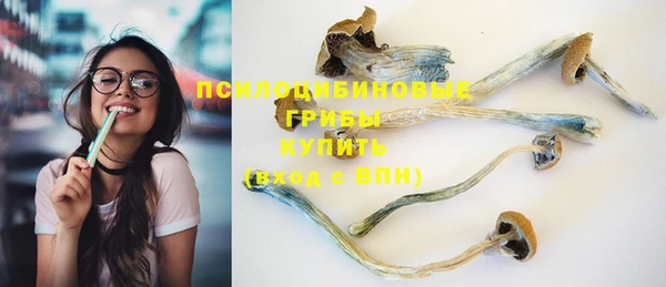 крисы Алзамай