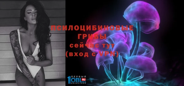 крисы Алзамай