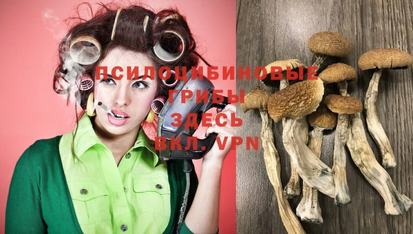 крисы Алзамай