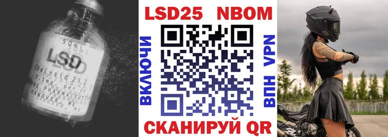 как найти   Жиздра  LSD-25 экстази ecstasy 