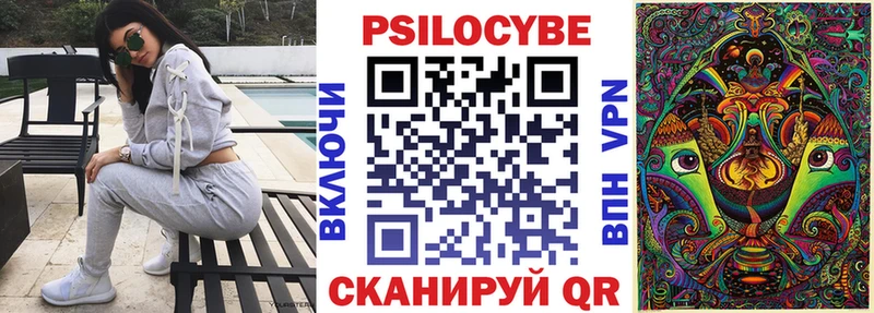 Псилоцибиновые грибы мицелий  купить   кракен сайт  Жиздра 